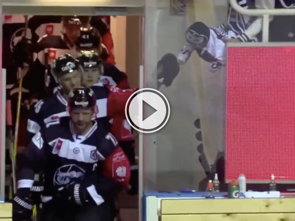 Baby fist bumping hockey players will warm up your morning! (Video)