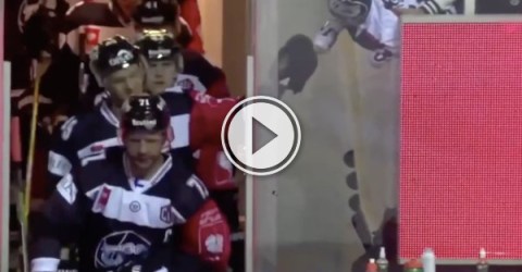 Baby fist bumping hockey players will warm up your morning! (Video)