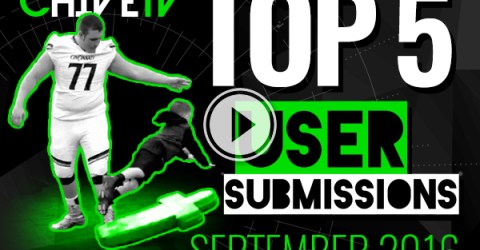 Top 5 user-submitted videos of September
