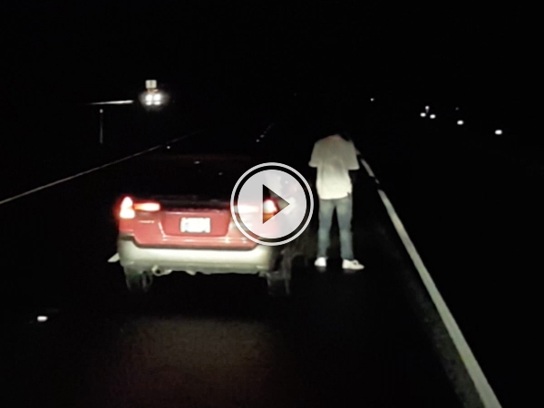 Drunk driver stops in middle of highway to take a piss (Video)