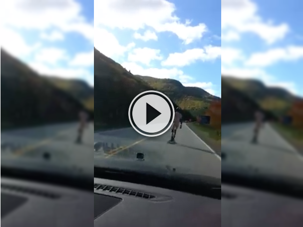 Just another day on the East Coast, skateboarding naked (Video)