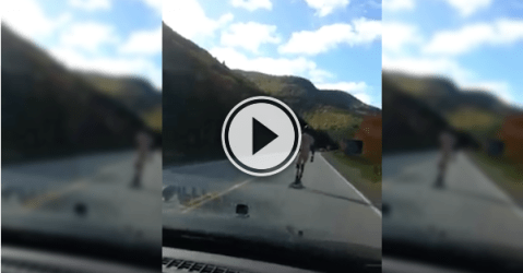 Just another day on the East Coast, skateboarding naked (Video)
