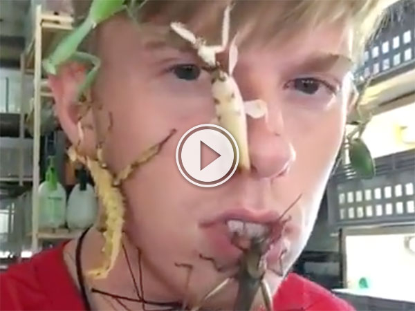 Strange kid with bugs on his face (Video)