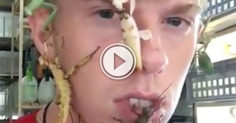 Strange kid with bugs on his face (Video)