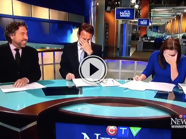 That's ok news lady, we'd be laughing at this too! (Video)