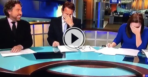 That's ok news lady, we'd be laughing at this too! (Video)