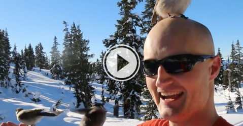 Is this guy secretly Snow White, or what? (Video)