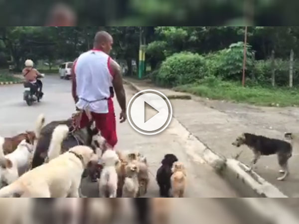 This guy is a doggy savant (Video)