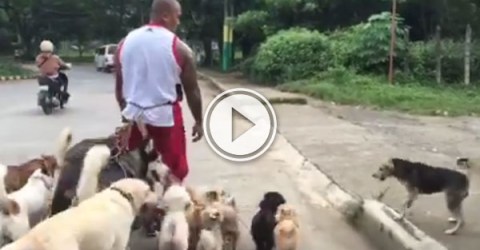This guy is a doggy savant (Video)