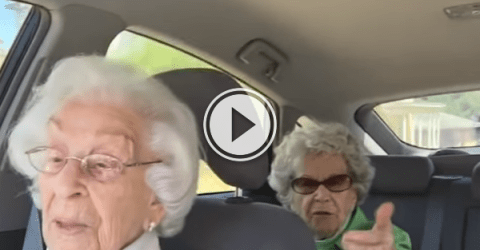Two Grannies hilariously bicker as only best friends can