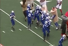 Mascots Absolutely Wrecking Pee Wee Football Players Is The Best Thing  You'll See On The Internet