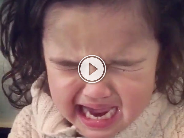 Sometimes you just need your damn snack