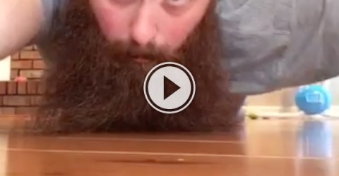 Puppy hiding behind guys beard (Video)