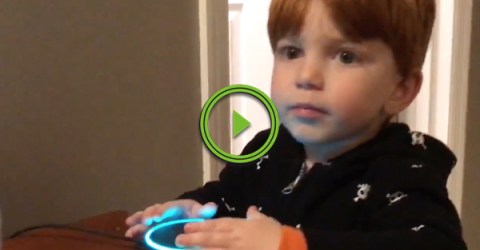 Amazon Echo tries showing porn to little boy (Video)