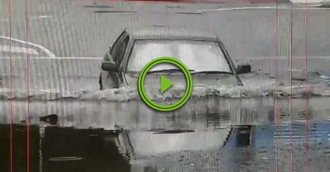 Australian man deals with floodwaters in true Aussie fashion (Video)