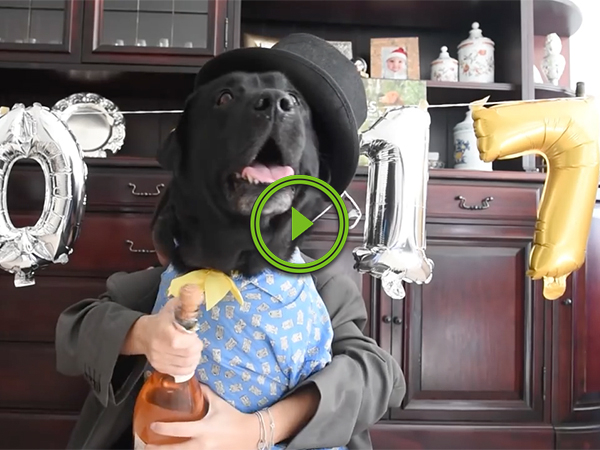 Happy New Year from dog