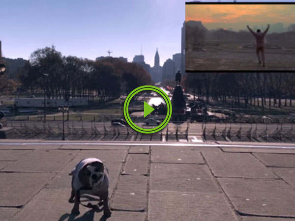 Adorable Bulldog Recreates Rock Scene (Video)