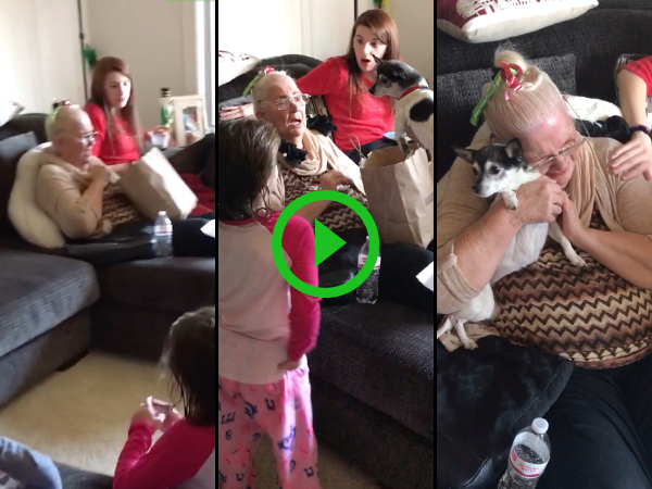 Grandma gets a surprise puppy for Christmas