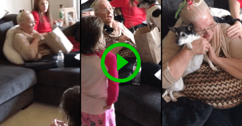 Grandma gets a surprise puppy for Christmas