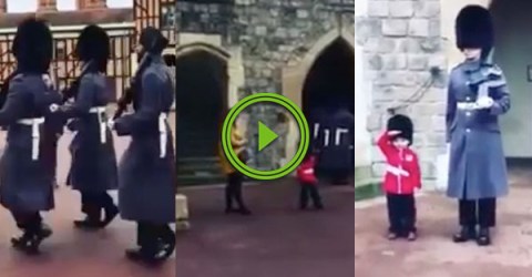 Queen's Guardsman poses for photo with toddler (Video)