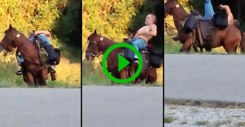 Man on horse is too drunk to ride and falls (Video)