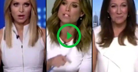 Reporter has meltdown over co-workers wearing same color (Video)