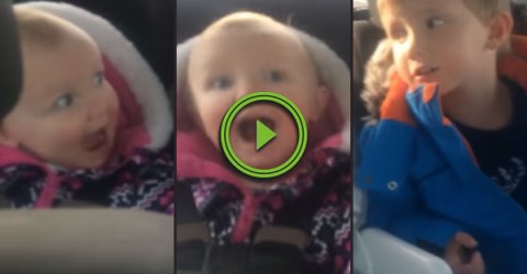 Siblings fighting over the F*Bomb in the backseat (Video)