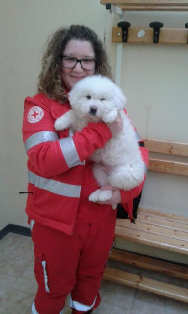 Trapped puppies rescued from avalanche after 5 days (17 Photos)
