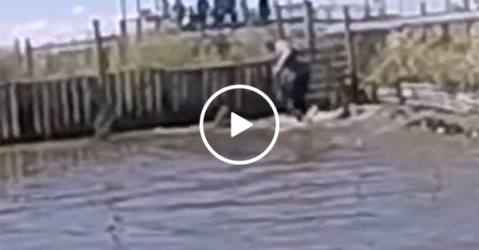 Man survives close call at Gator farm, nearly gets bitten (Video)