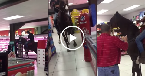 South African man rides horse through supermarket (Video)