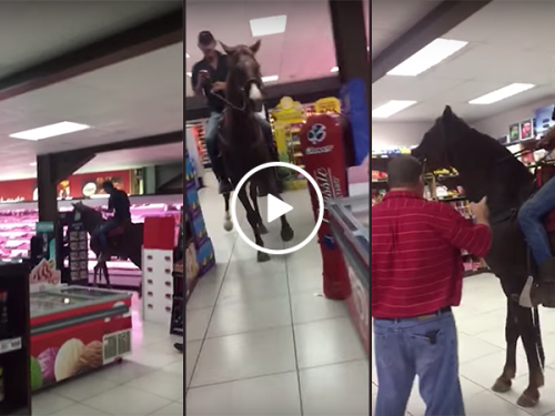 South African man rides horse through supermarket (Video)