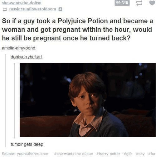 Horcruxes and Patronus; A Guide to Harry Potter on Tumblr