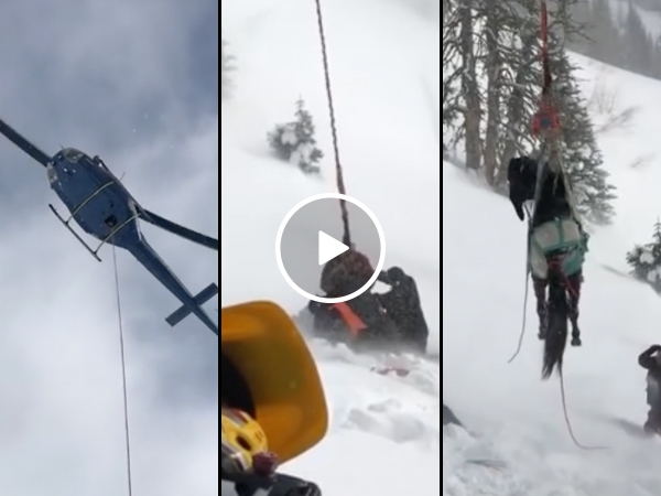 Horse stuck in ice gets rescued by helicopter (Video)