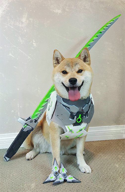 Vox the cosplaying dog is a very good boy (27 Photos)