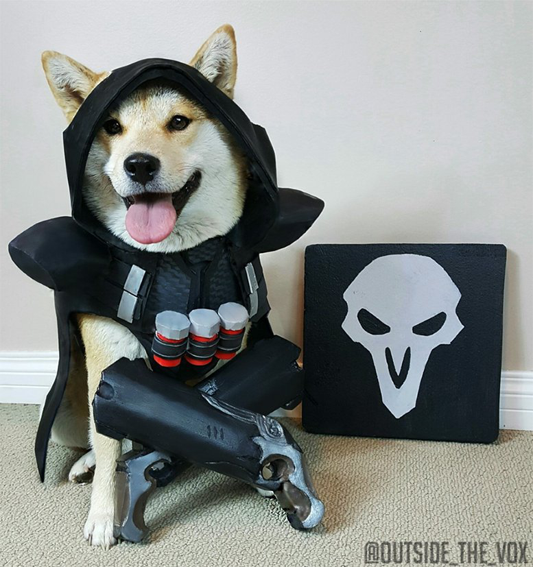 Vox the cosplaying dog is a very good boy (27 Photos)