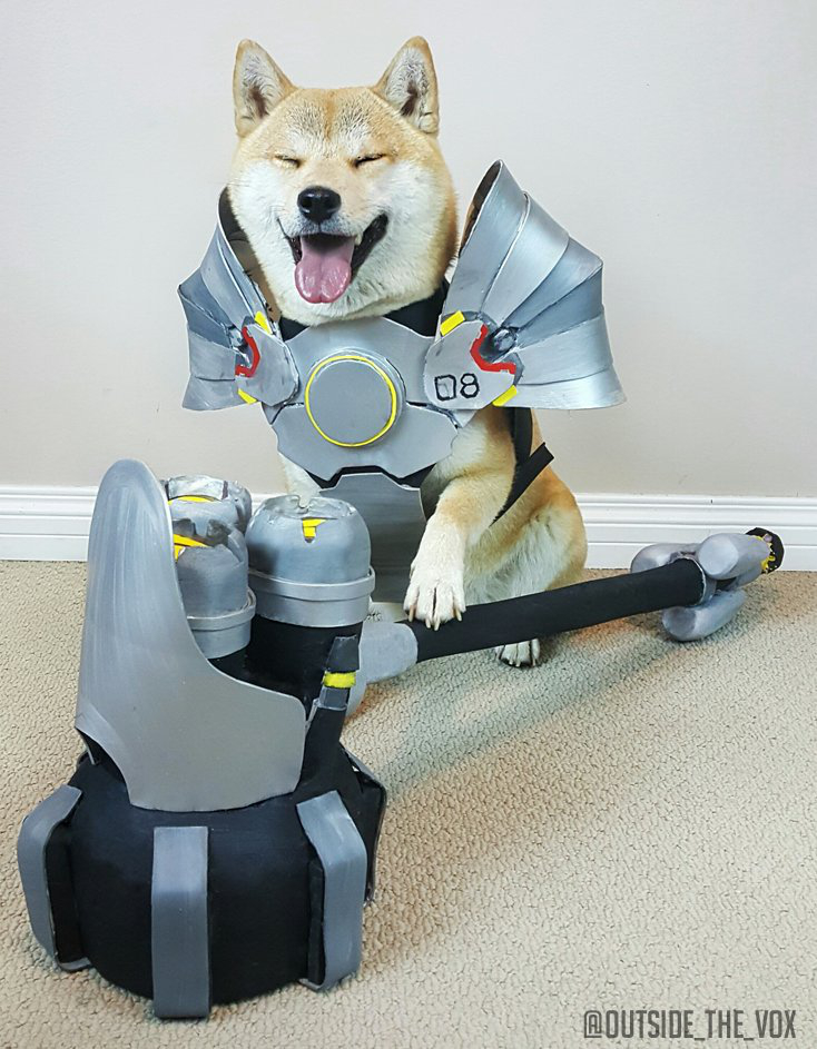 Vox the cosplaying dog is a very good boy (27 Photos)