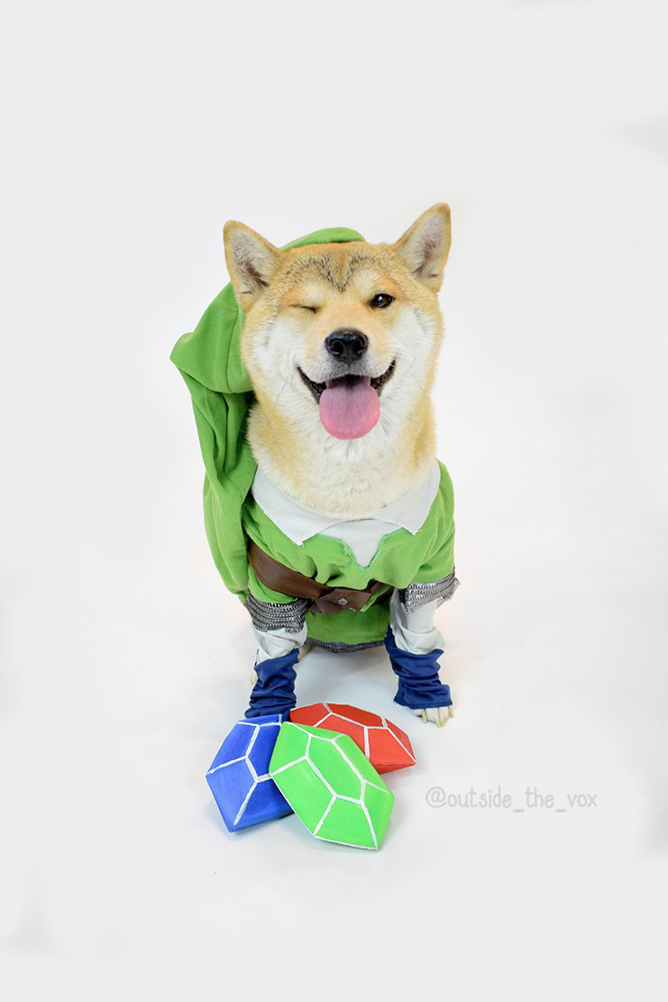 Vox the cosplaying dog is a very good boy (27 Photos)
