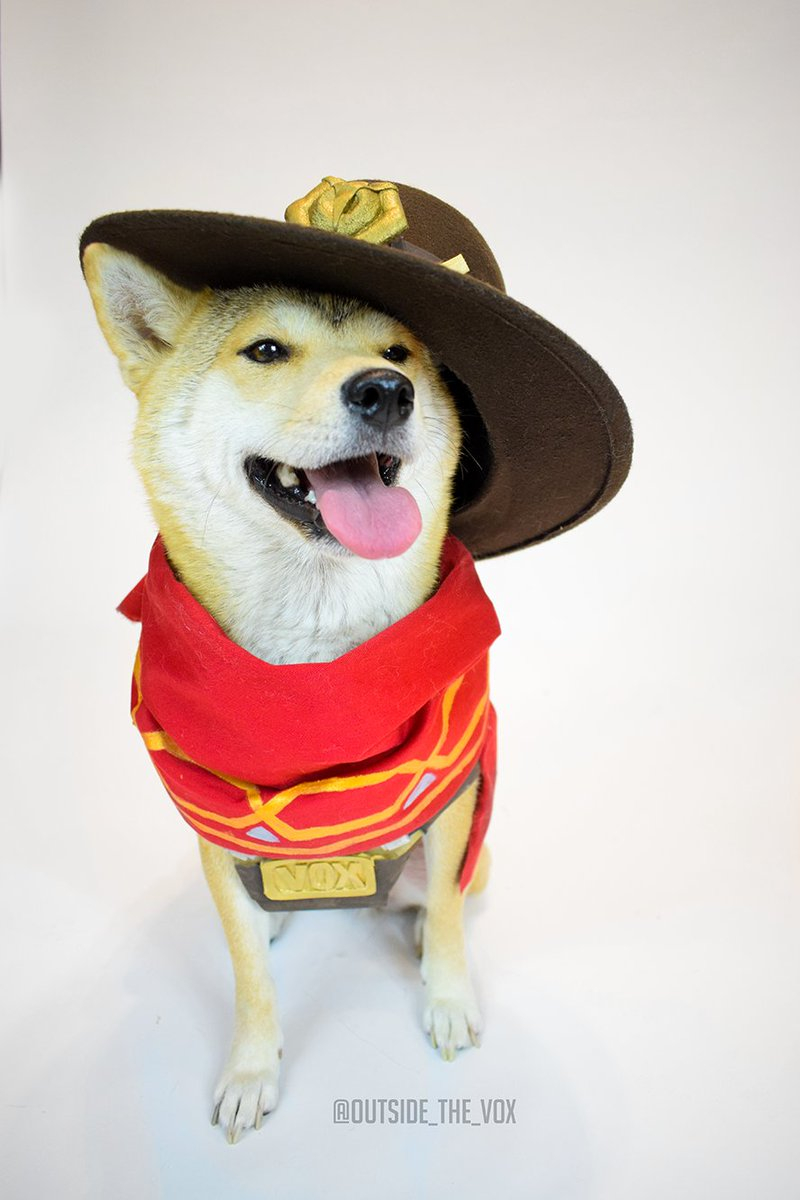 Vox the cosplaying dog is a very good boy (27 Photos)