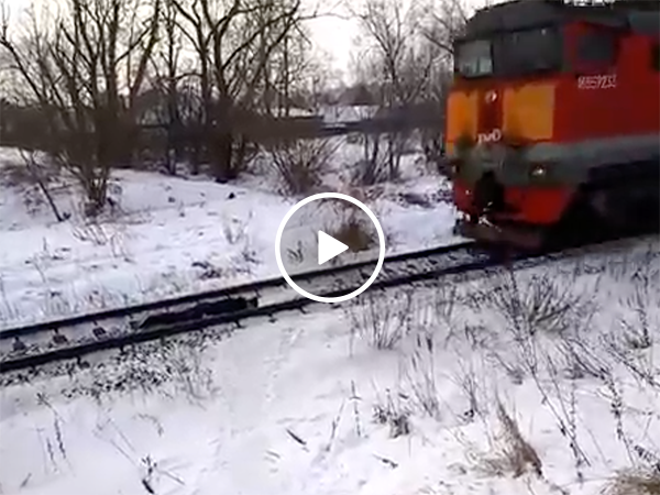 Russian kid lays underneath oncoming train (Video)
