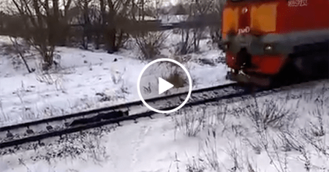 Russian kid lays underneath oncoming train (Video)
