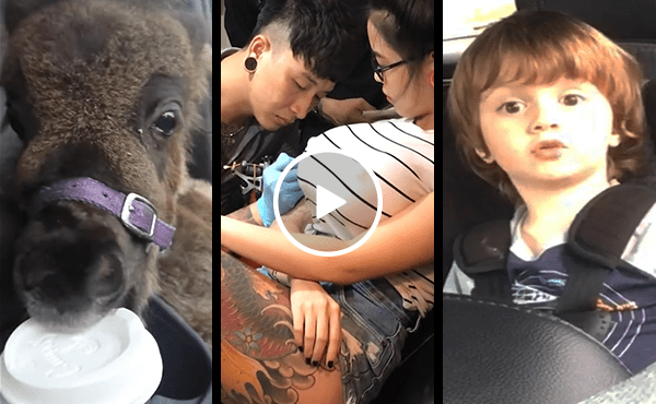 Boob job gone bad + more clips you need to see this week