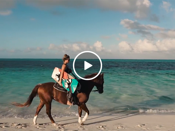 Horse pulling wakeboarder looks like Summer incarnate