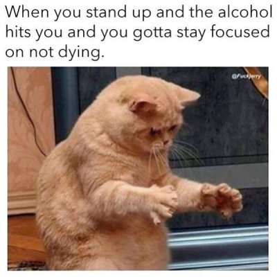 Nurse your hangover with these memes about drinking