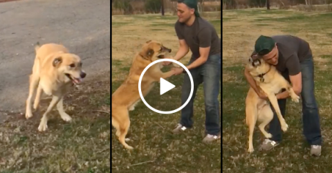 Dog can't contain excitement after owner returns from deployment