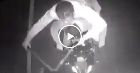 Criminals have hilarious high speed robber fail (Video)