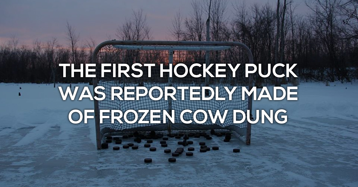 call-a-timeout-for-some-random-hockey-facts-25-photos