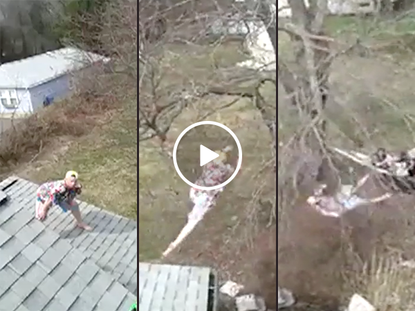 Man leaps off his house into a tree with predictable results (Video)