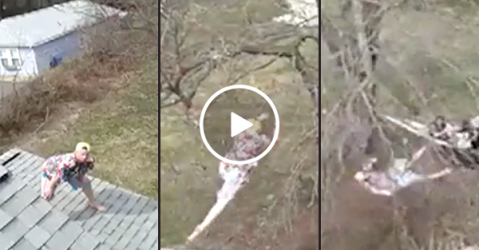 Man leaps off his house into a tree with predictable results (Video)