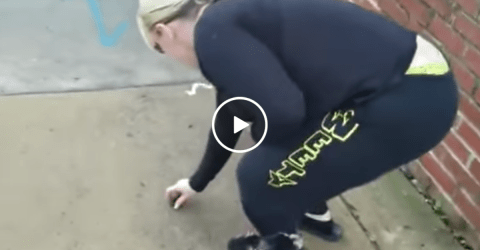 Sidewalk hero makes dog owner pick after dog