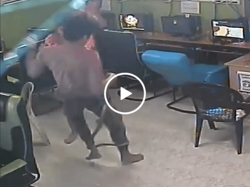 Scary moment snake slithers into internet cafe (Video)
